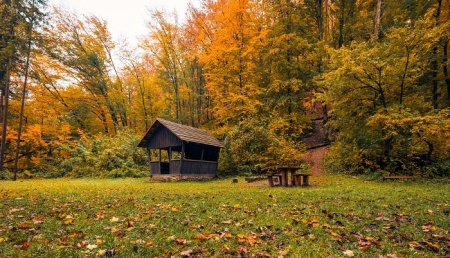 دانلود افکت صوتی رایگان روستای پاییزی