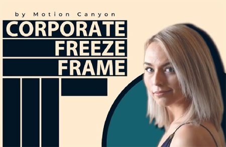 دانلود پروژه پریمیر فریز فریم Exquisite Freeze Frame