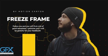 دانلود پروژه آماده پریمیر فریز فریم Exquisite Freeze Frame