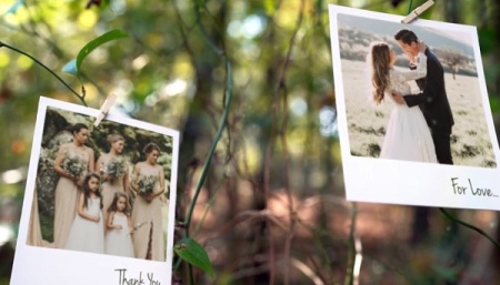 دانلود پروژه افتر افکت گالری عکس لایو در باغ عروسی