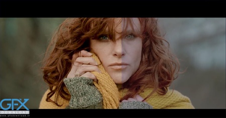 پریست پریمیر 15 lut برای ولاگ Vlogger Luts