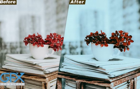 دانلود پریست لایت روم پایزی و هالووین Halloween