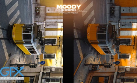 پریست لایت روم دسکتاپ و موبایل تم طلایی