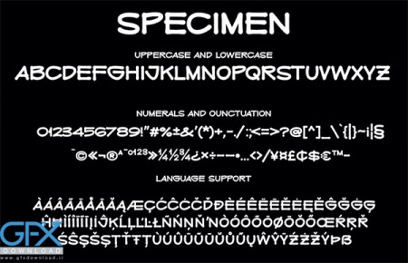 فونت انگلیسی دستخط معمولی SNATCHED