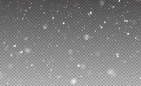 وکتور دانه های برف