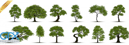 وکتور مجموعه درخت