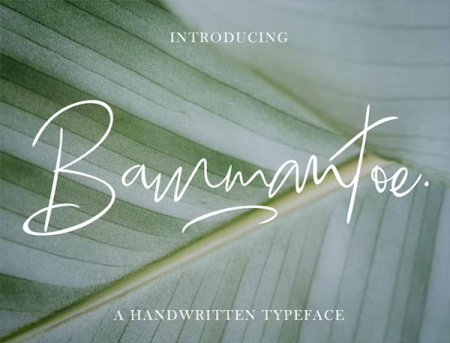 دانلود 5 فونت انگلیسی پیوسته و سرهم