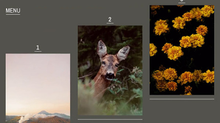 پروژه افتر افکت اسلایدشو مینیمال شیک