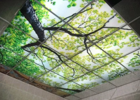 پلکسی برای سقف سرویس بهداشتی