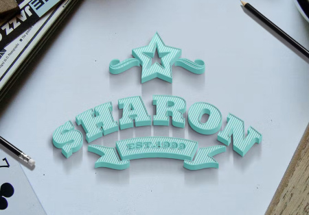 موکاپ لایه باز لوگو حرفه ای رایگان Pro Logo Mockup Set