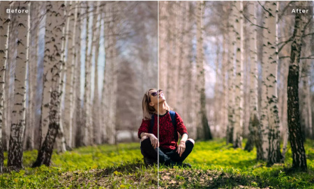 دانلود پریست طبیعت با افکت فتوشاپ