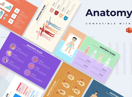 دانلود قالب پاورپوینت آناتومی Medical Anatomy