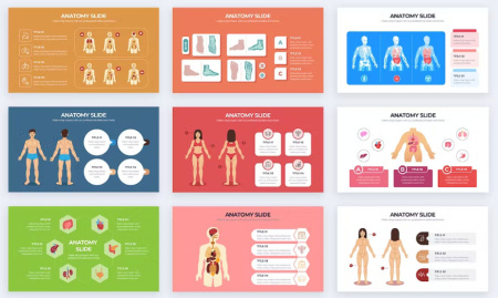 قالب پاورپوینت آناتومی Medical Anatomy