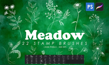 براش طرح گل برای فتوشاپ Meadow