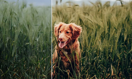 مجموعه پریست فتوشاپ آتلیه و فضای باز  Outdoor Presets