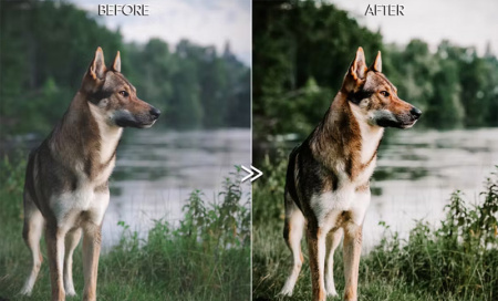 پریست فتوشاپ فضای باز Outdoor Presets