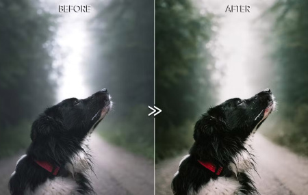 دانلود پریست فتوشاپ فضای باز Outdoor Presets