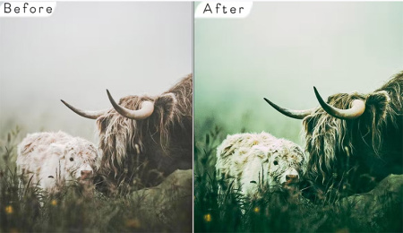 6 اکشن سینمایی فتوشاپ Cinematic Photoshop