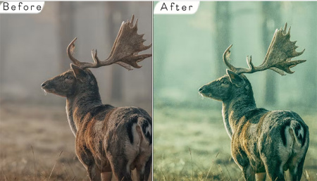 دانلود 6 اکشن سینمایی فتوشاپ Cinematic Photoshop