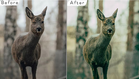 دانلود 6 اکشن فتوشاپ سینمایی Cinematic Photoshop