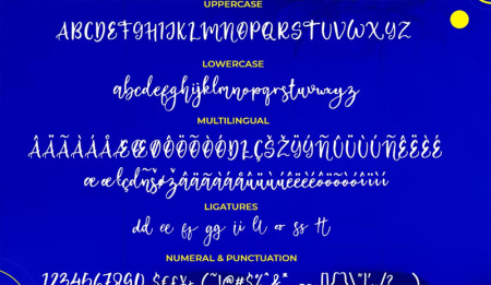 دانلود فونت Baggi Script