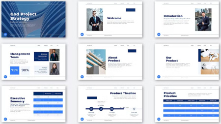 دانلود قالب پاورپوینت پروژه Business Project
