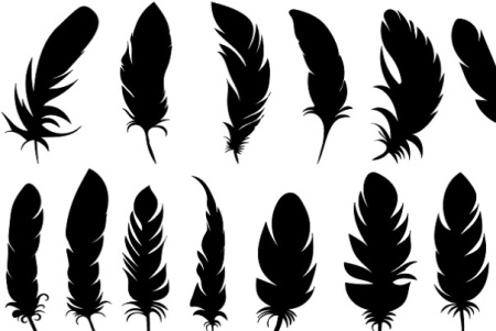 دانلود وکتور پر Feathers set
