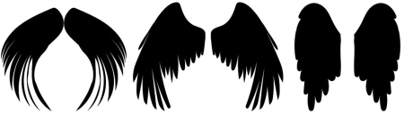 دانلود وکتور پر پرنده Feathers set