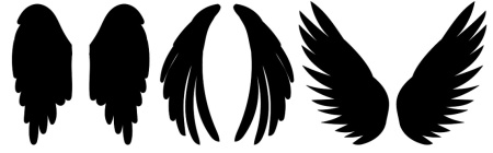 وکتور پر پرنده Feathers set