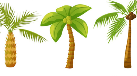 دانلود وکتور درخت نخل palm trees