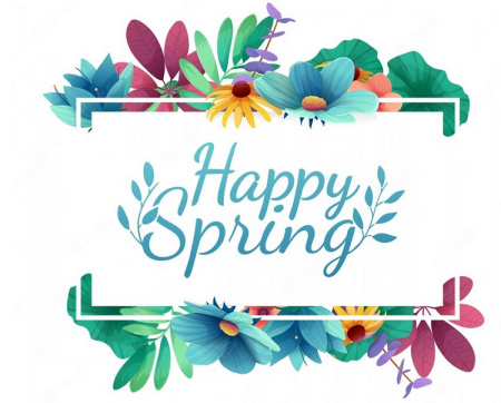 دانلود 6 وکتور حاشیه شکوفه بهاری