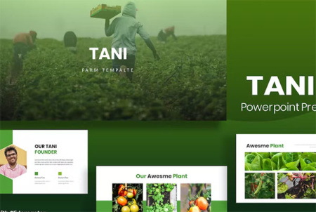 دانلود قالب پاورپوینت Tani