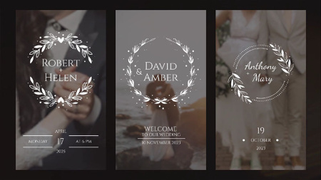 دانلود پروژه افتر افکت ۱۶ استوری اینستاگرام عروسی