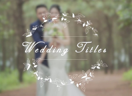پروژه پریمیر تایتل و عناوین کلیپ عروسی Wedding Titles