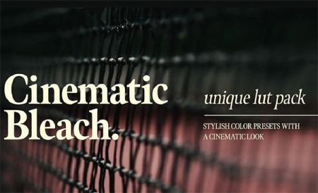 پریست پریمیر تنظیم رنگ سفید کننده Cinematic Bleach LUTs