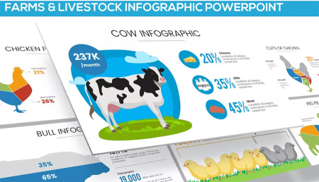 دانلود قالب پاورپوینت گاو Farms and Livestock