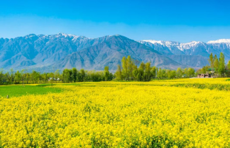 منظره عکس طبیعت بهاری با کیفیت بالا