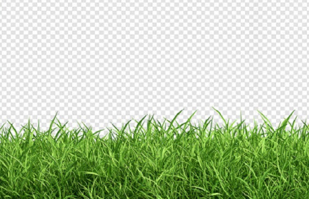 دانلود فایل لایه باز چمن