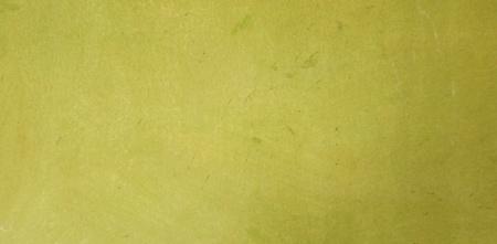  بک گراند سبز پاستیلی ساده