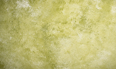  بک گراند سبز پاستیلی ساده