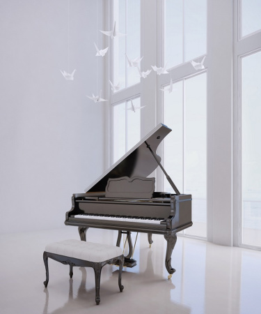 عکس های پیانو حرفه ای و زیبا