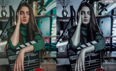 دانلود پریست لایت روم دارک