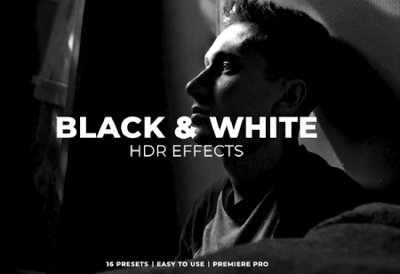 دانلود پریست پریمیر افکت های سیاه و سفید HDR
