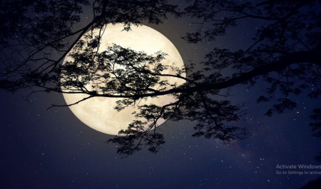 عکس آسمان شب با ماه