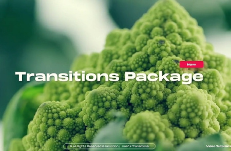 ترانزیشن آماده 16 افکت هندسی برای پریمیر