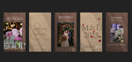 پروژه پریمیر استوری اینستاگرام عروسی Wedding Instagram Stories