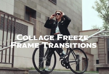 پریست پریمیر فریز فریم به سبک کلاژ Collage Freeze Frame