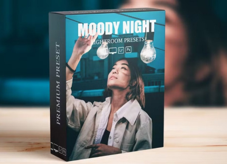 پریست فتوشاپ با تم شب Moody Night
