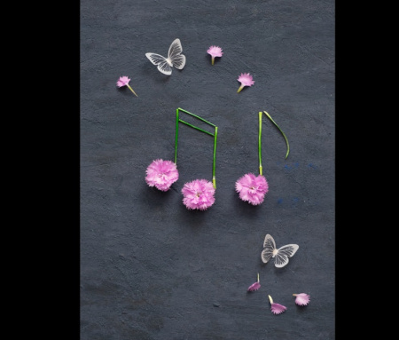 عکس نت های موسیقی زیبا