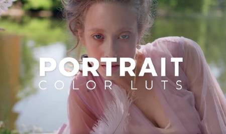 پریست پریمیر تنظیم رنگ مخصوص پرتره Portrait Color